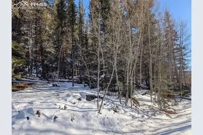 386 Brook Drive, Lake George, CO 80827 - Photo 9