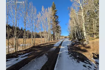 386 Brook Drive, Lake George, CO 80827 - Photo 43
