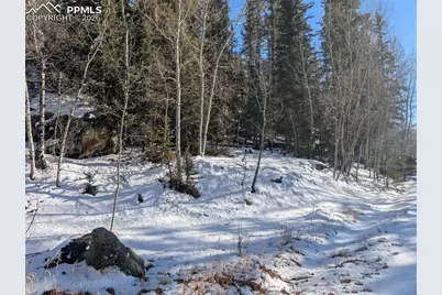 386 Brook Drive, Lake George, CO 80827 - Photo 7