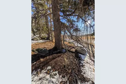 386 Brook Drive, Lake George, CO 80827 - Photo 15