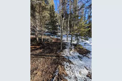 386 Brook Drive, Lake George, CO 80827 - Photo 11