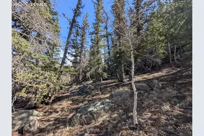 386 Brook Drive, Lake George, CO 80827 - Photo 7