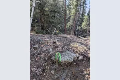 386 Brook Drive, Lake George, CO 80827 - Photo 21