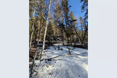 386 Brook Drive, Lake George, CO 80827 - Photo 13