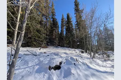 386 Brook Drive, Lake George, CO 80827 - Photo 21