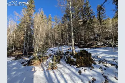 386 Brook Drive, Lake George, CO 80827 - Photo 17