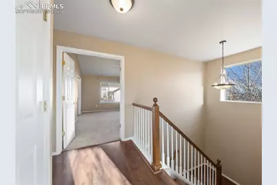 9979 Rose Leaf Court, Colorado Springs, CO 80920 - Photo 35