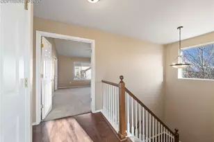 9979 Rose Leaf Ct, Colorado Springs, CO 80920 - Photo 35