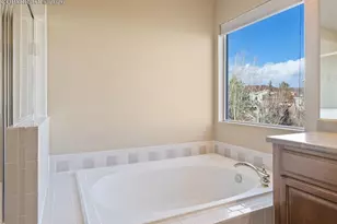 9979 Rose Leaf Ct, Colorado Springs, CO 80920 - Photo 23