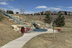 1238 Foothills Farm Way, Colorado Springs, CO 80921 - Photo 45