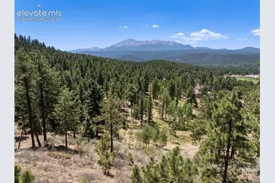 1150 Forest Hill Place, Woodland Park, CO 80863 - Photo 37