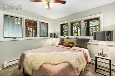 1150 Forest Hill Place, Woodland Park, CO 80863 - Photo 27