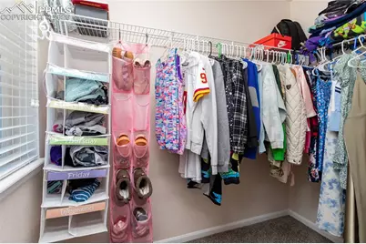 6735 Monterey Pine Loop, Colorado Springs, CO 80927 - Photo 27