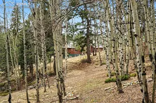 220 Rocky Mountain View, Divide, CO 80814 - Photo 27