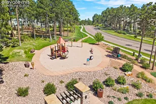 1558 Summerglow Ln, Monument, CO 80132 - Photo 45