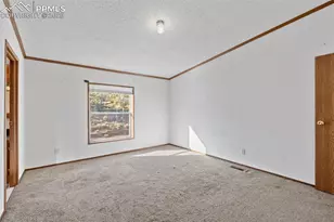 1711 Witcher Mtn. Rd, Guffey, CO 80820 - Photo 19