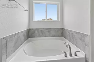 6007 Wendy Stream Wy, Colorado Springs, CO 80924 - Photo 31