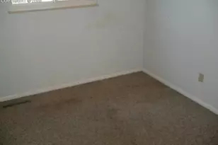 4270 N Hammock Dr, Colorado Springs, CO 80917 - Photo 35