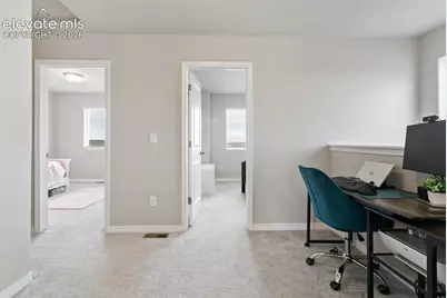 7427 Gorgeted Quail Grove, Colorado Springs, CO 80923 - Photo 23