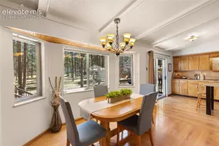 723 N Center St, Woodland Park, CO 80863 - Photo 7