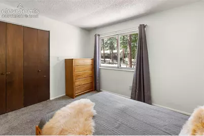 723 N Center Street, Woodland Park, CO 80863 - Photo 19