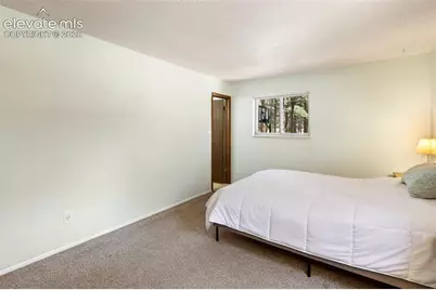 723 N Center Street, Woodland Park, CO 80863 - Photo 13