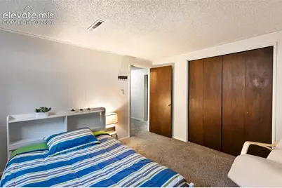 723 N Center Street, Woodland Park, CO 80863 - Photo 29