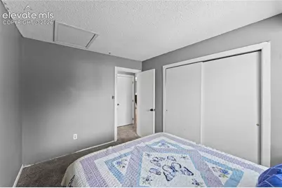 4323 Hawks Lookout Lane, Colorado Springs, CO 80916 - Photo 13