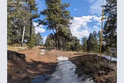 56 Rampart Circle, Florissant, CO 80816 - Photo 7