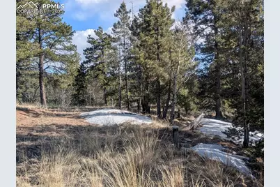 56 Rampart Circle, Florissant, CO 80816 - Photo 5