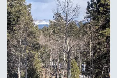 56 Rampart Circle, Florissant, CO 80816 - Photo 17