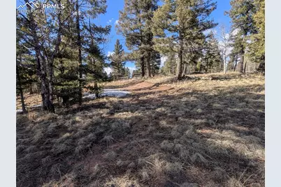 56 Rampart Circle, Florissant, CO 80816 - Photo 23