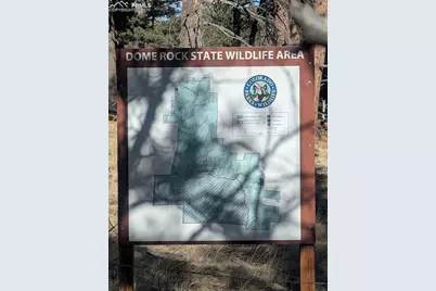 56 Rampart Circle, Florissant, CO 80816 - Photo 15