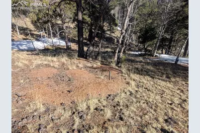 56 Rampart Circle, Florissant, CO 80816 - Photo 25