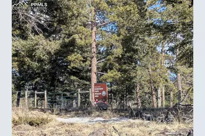 56 Rampart Circle, Florissant, CO 80816 - Photo 3