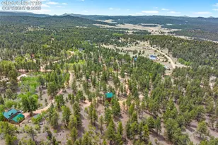605 Obsidian Dr, Florissant, CO 80816 - Photo 47