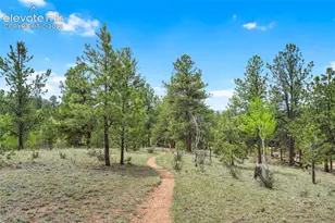 605 Obsidian Dr, Florissant, CO 80816 - Photo 41