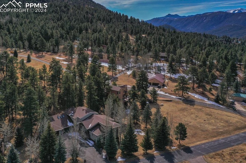 725 Sun Valley Dr, Woodland Park CO 80863-9089 exterior