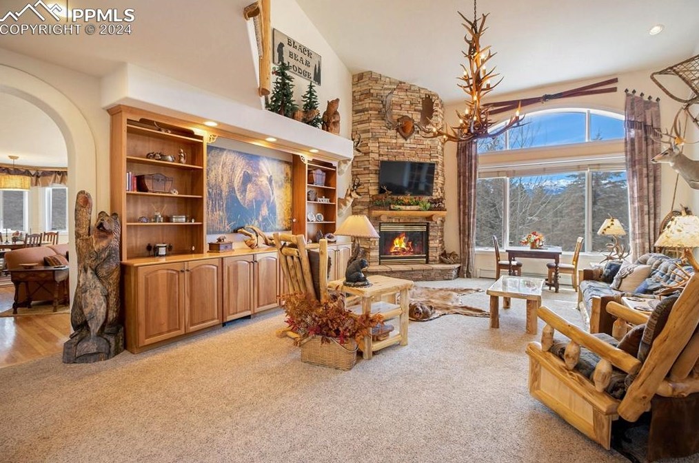 725 Sun Valley Dr, Woodland Park CO 80863-9089 exterior