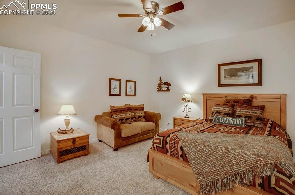 725 Sun Valley Dr, Woodland Park CO 80863-9089 exterior