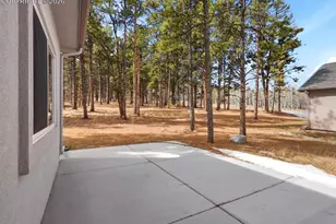 1305 Stone Ridge Dr, Woodland Park, CO 80863 - Photo 43