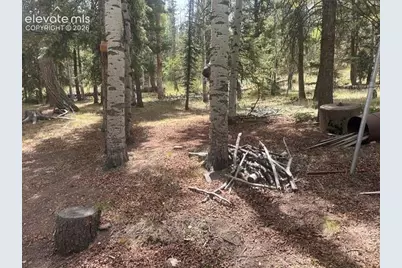 135 Mount Massive Road, Florissant, CO 80816 - Photo 21