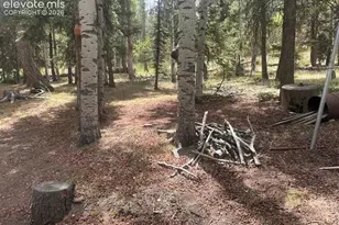 135 Mt Massive Rd, Florissant, CO 80816 - Photo 21
