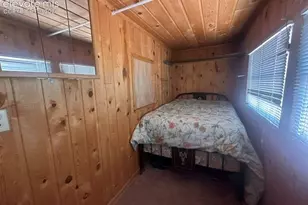 135 Mt Massive Rd, Florissant, CO 80816 - Photo 13