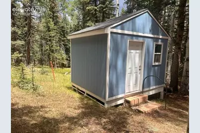 135 Mount Massive Road, Florissant, CO 80816 - Photo 15