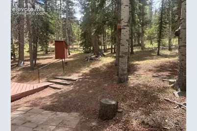 135 Mount Massive Road, Florissant, CO 80816 - Photo 19