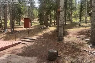 135 Mt Massive Rd, Florissant, CO 80816 - Photo 19