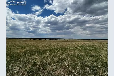 11970 Woodridge Terrace, Colorado Springs, CO 80908 - Photo 3