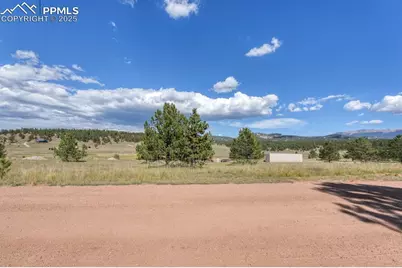 300 S Deer Mountain Road, Florissant, CO 80816 - Photo 11