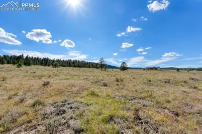 300 S Deer Mountain Road, Florissant, CO 80816 - Photo 15